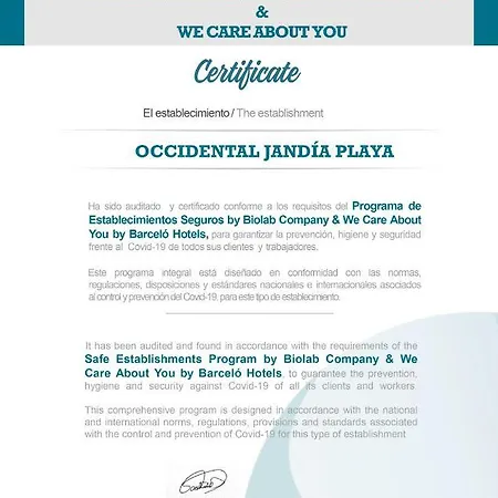 Occidental Jandia Playa 酒店 4*