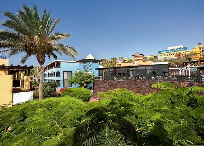 Occidental Jandia Playa Отель